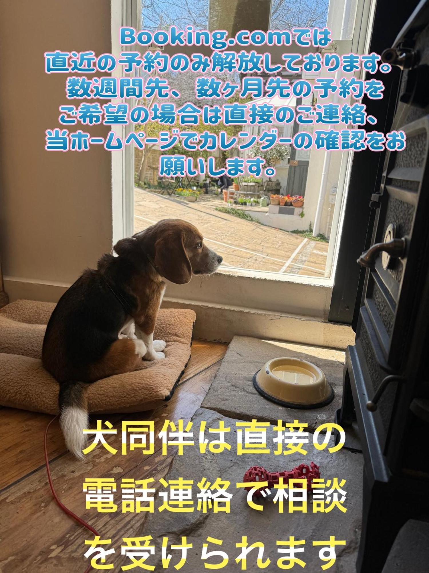 Kamakurayama Holiday Flat Exteriér fotografie